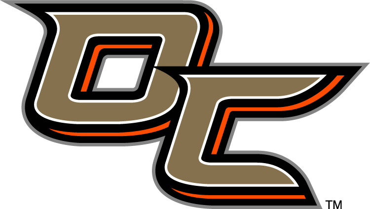 Anaheim Ducks 2014 Special Event Logo t shirts iron on transfers